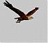 Avatar u�ivatele 7020