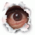 Avatar u�ivatele b.havlik