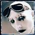 Avatar u�ivatele mansonpl