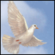 Avatar u�ivatele bobbik
