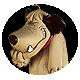 Avatar u�ivatele odyseus